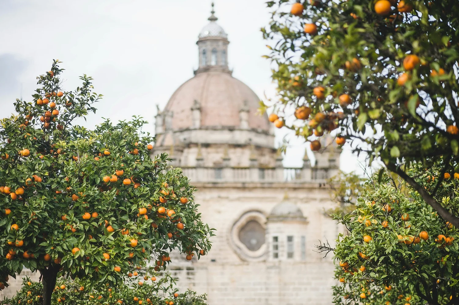 Jerez de la Frontera